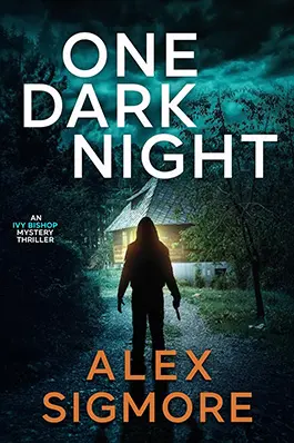 One Dark Night